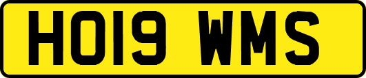 HO19WMS