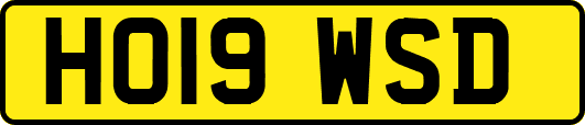 HO19WSD