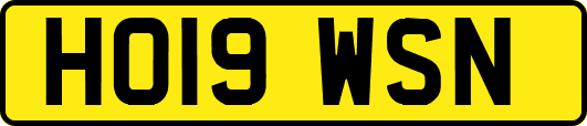 HO19WSN