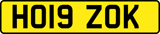 HO19ZOK