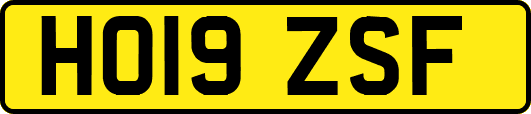 HO19ZSF