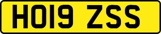 HO19ZSS