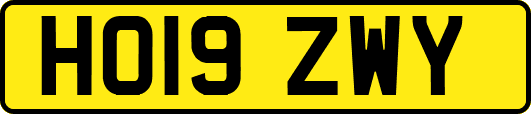 HO19ZWY