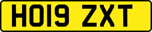 HO19ZXT