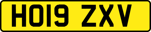 HO19ZXV