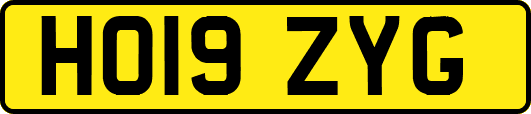 HO19ZYG