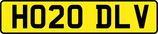 HO20DLV