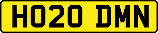 HO20DMN