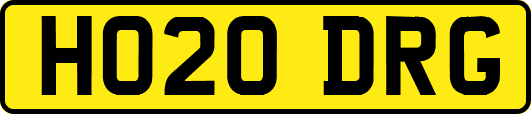 HO20DRG
