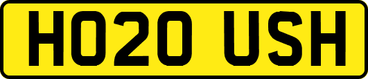 HO20USH