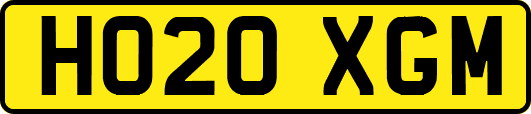HO20XGM
