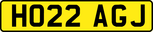 HO22AGJ
