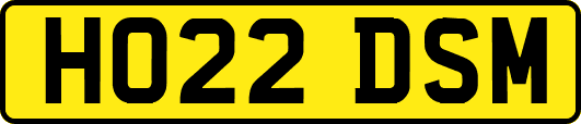 HO22DSM