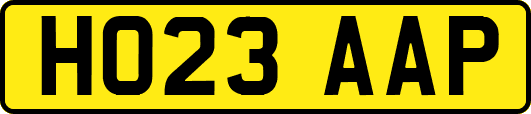 HO23AAP