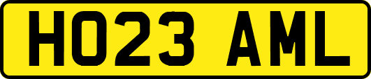 HO23AML