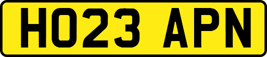 HO23APN