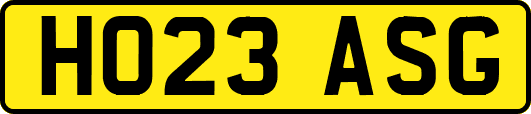 HO23ASG
