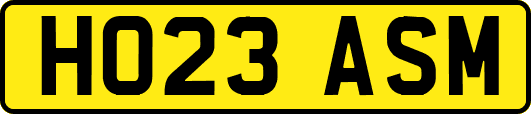 HO23ASM