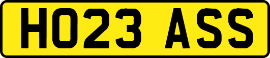 HO23ASS