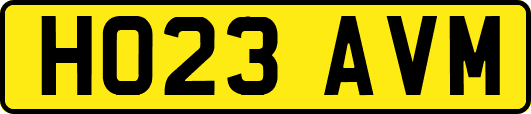 HO23AVM