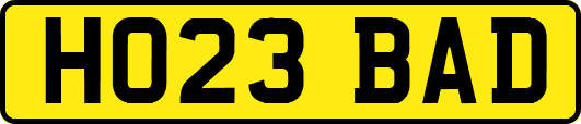 HO23BAD