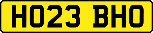 HO23BHO