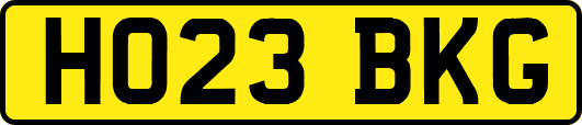 HO23BKG