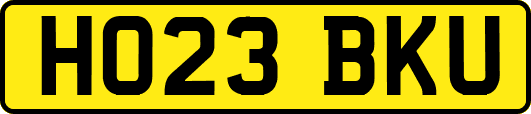 HO23BKU