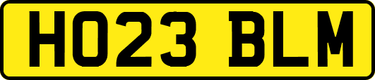 HO23BLM