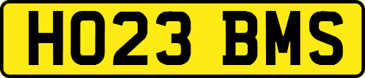 HO23BMS