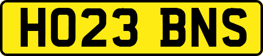 HO23BNS