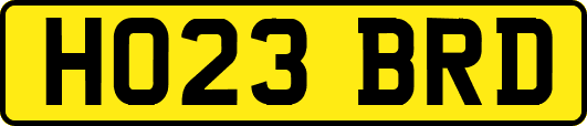 HO23BRD