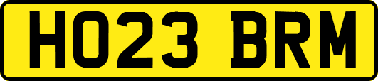 HO23BRM