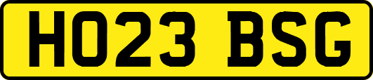 HO23BSG