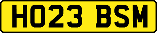 HO23BSM