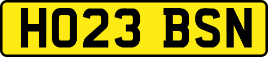HO23BSN