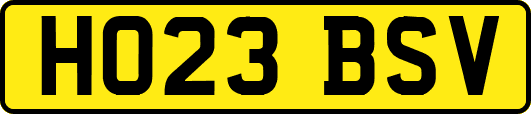 HO23BSV