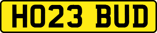 HO23BUD