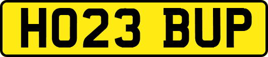 HO23BUP