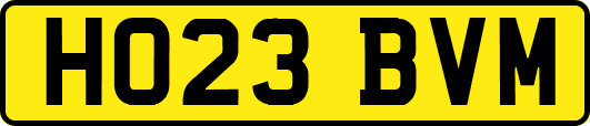 HO23BVM