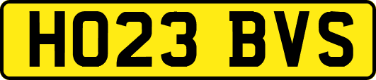 HO23BVS