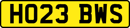 HO23BWS