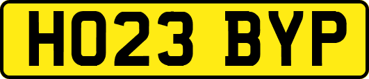 HO23BYP
