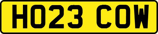 HO23COW