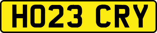 HO23CRY