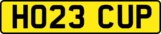 HO23CUP