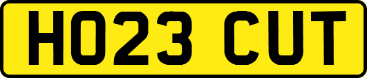 HO23CUT