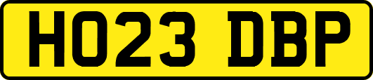 HO23DBP