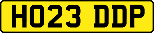 HO23DDP