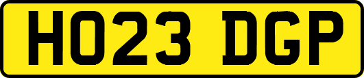 HO23DGP